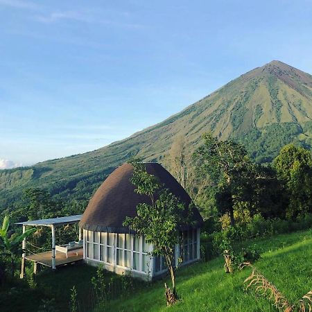 Bajawa Manulalu Jungle酒店 外观 照片
