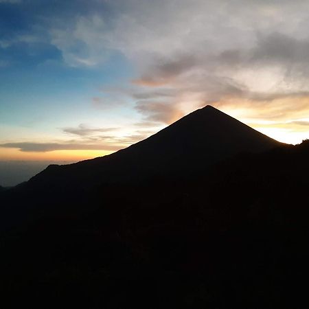Bajawa Manulalu Jungle酒店 外观 照片