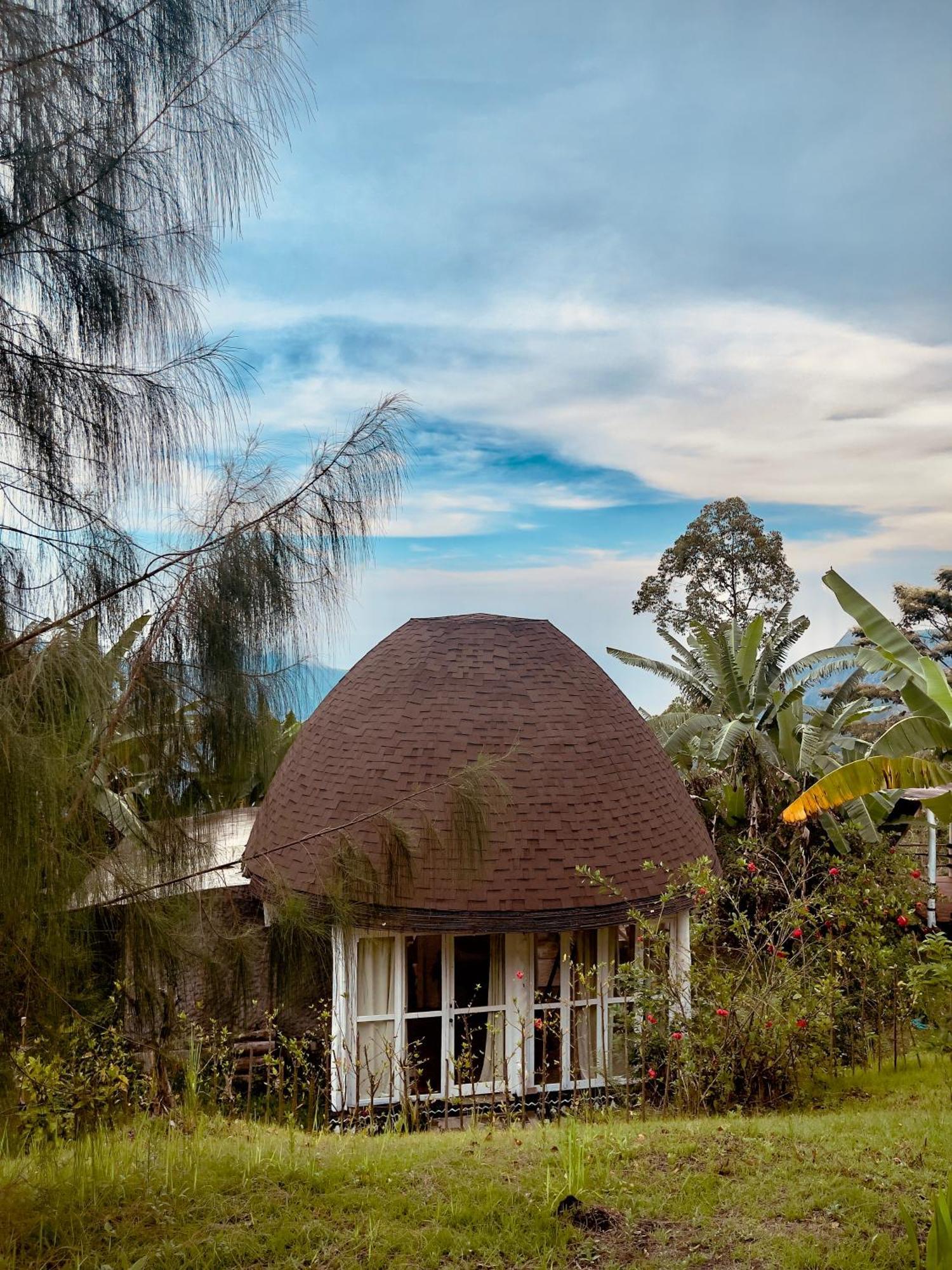 Bajawa Manulalu Jungle酒店 外观 照片