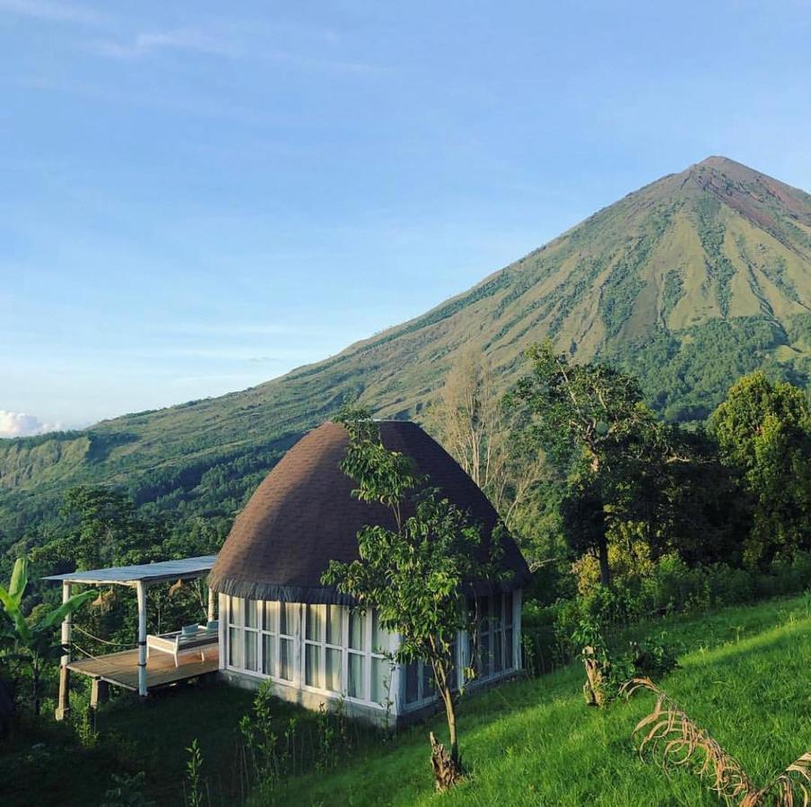 Bajawa Manulalu Jungle酒店 外观 照片